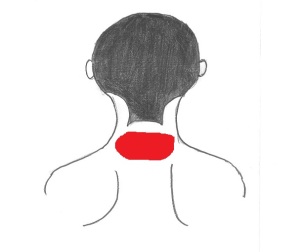 首のうしろ1