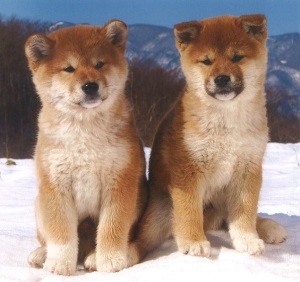 20180101144639_00001