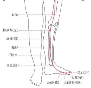 ５足太陰脾経-下